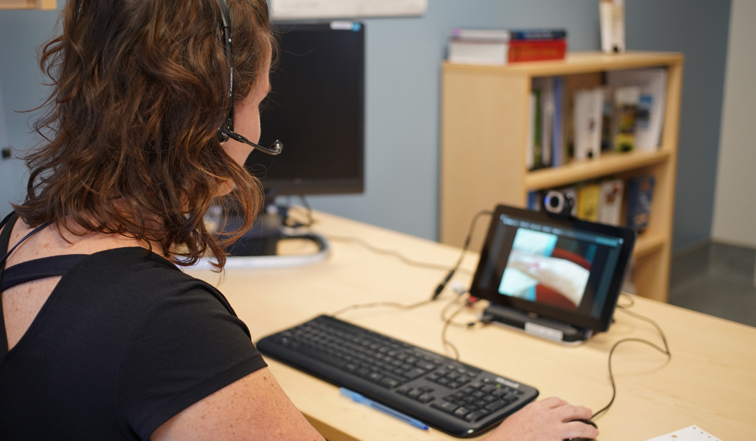 La pandémie : un levier pour la télésanté