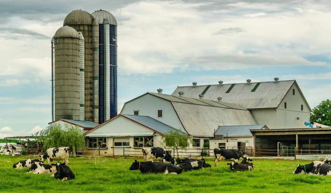 L’effet papillon de la collaboration