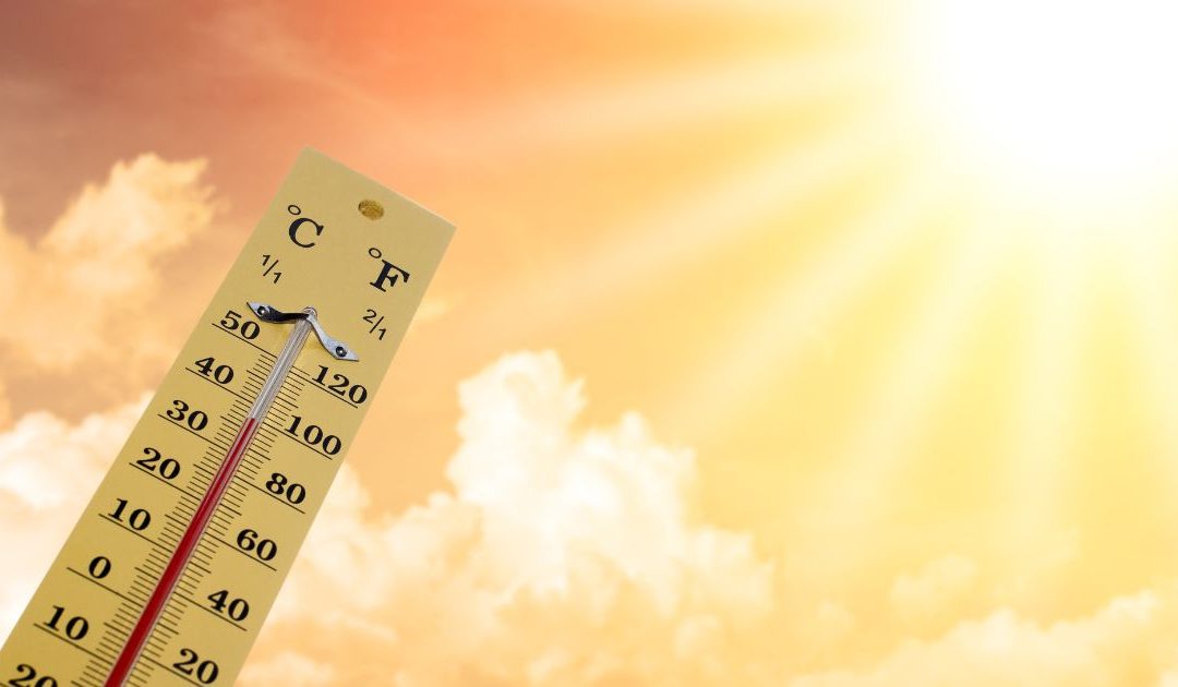 Astuces pour rafraîchir votre environnement de travail