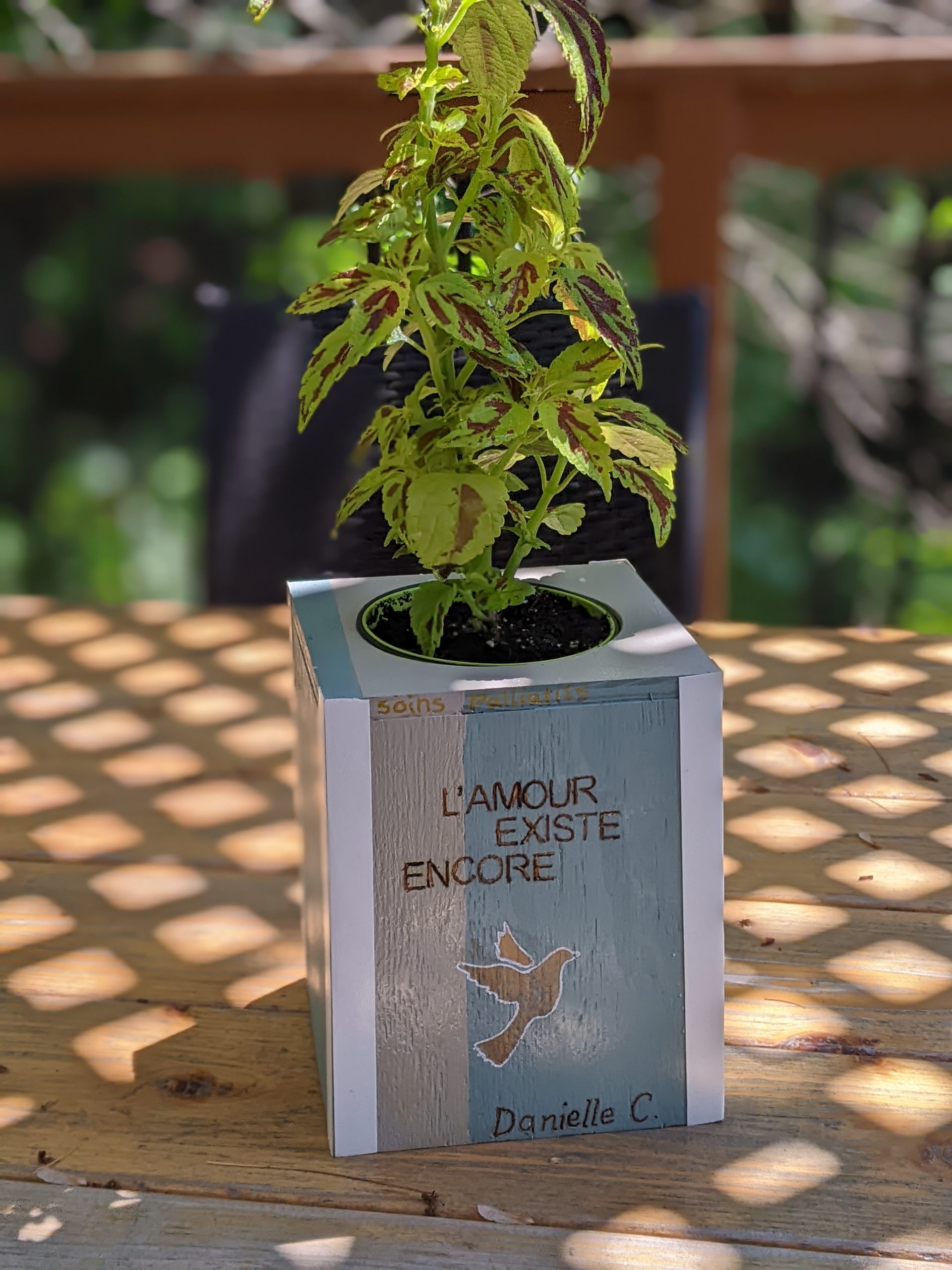 Une boîte à plante fabriquée par Isabelle sur laquelle est inscrit « L'amour existe encore ».