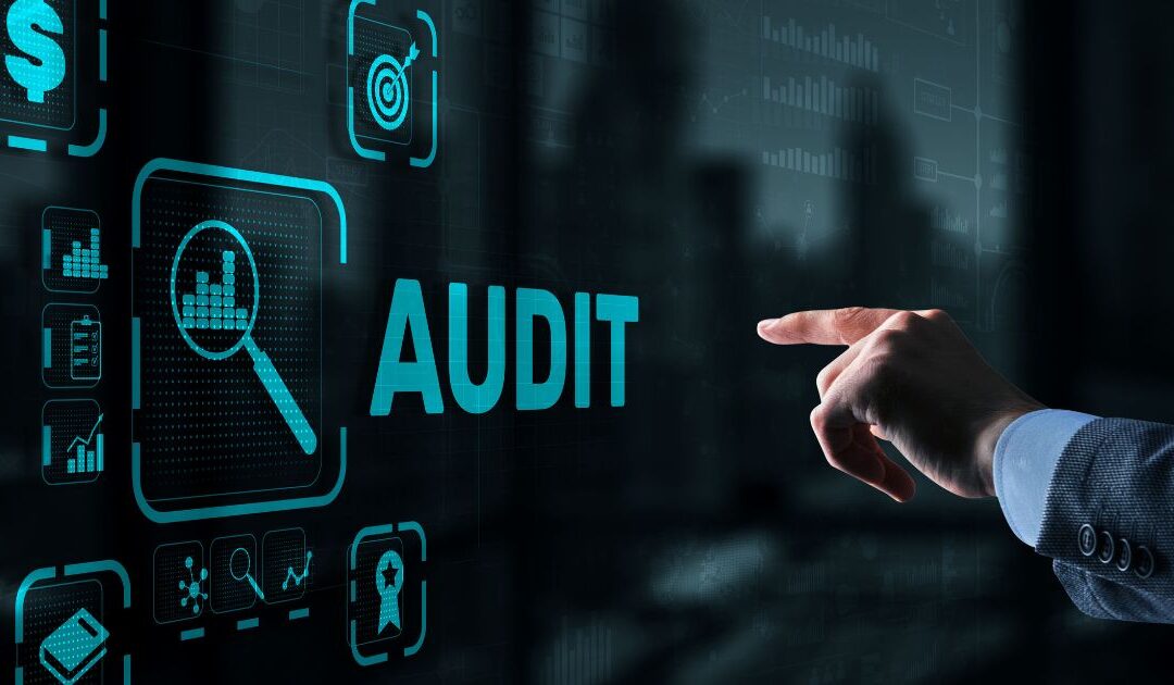 À la rencontre d’un auditeur interne