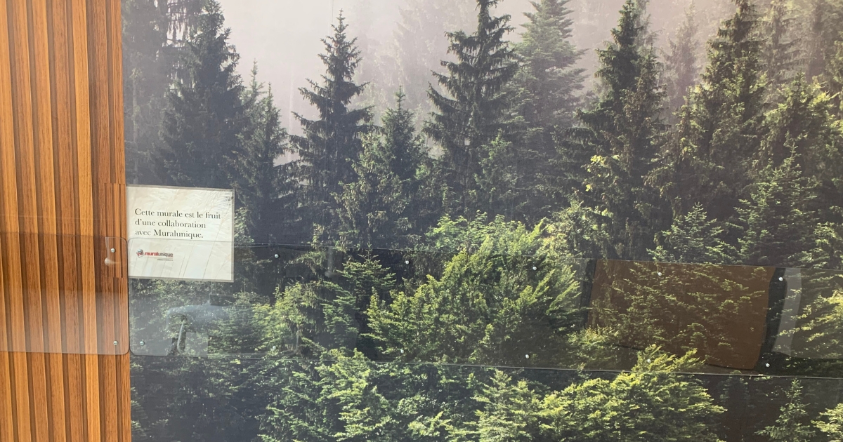 Une murale d'arbres dans une chambre d'hôpital. 