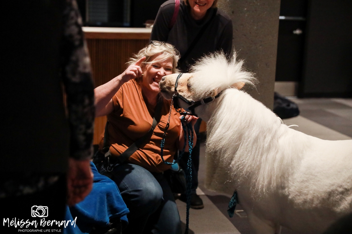 Au kiosque de Toutous poilus, les visiteurs et les visiteuses ont rencontré Pascal, le cheval miniature, et plusieurs autres animaux (chats, chiens, lapins, poules, etc.) qui offrent de la zoothérapie dans nos milieux d’hébergement. 