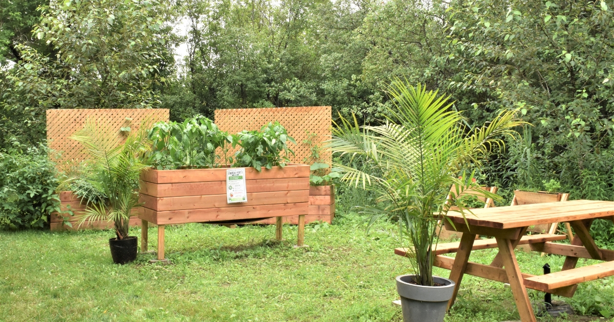 Une table à pique-nique entourée de verdure.